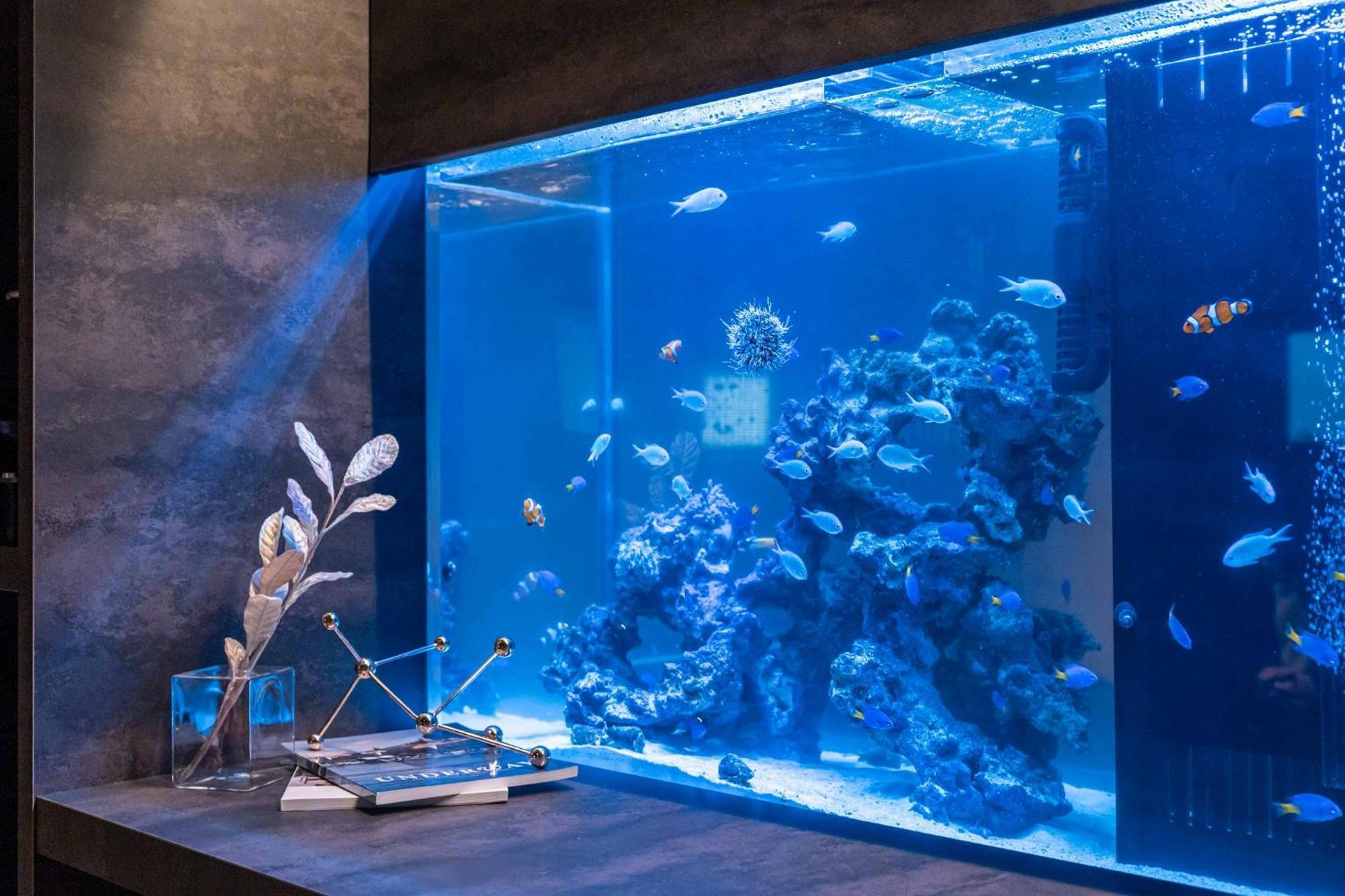 הוילה אוסקה Japavista Aqua מראה חיצוני תמונה